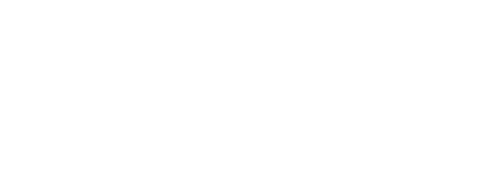 Top Diversity Leaders