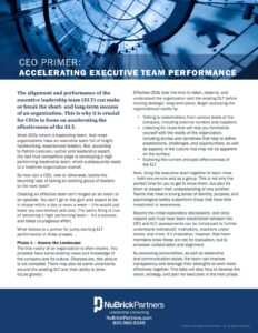 CEO Primer article cover