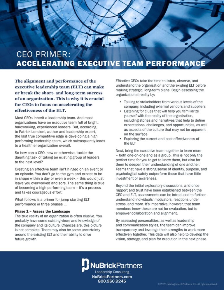 CEO Primer article cover