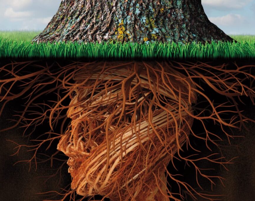 human head as roots of a tree which represents a need for careful succession planning to preserve the roots