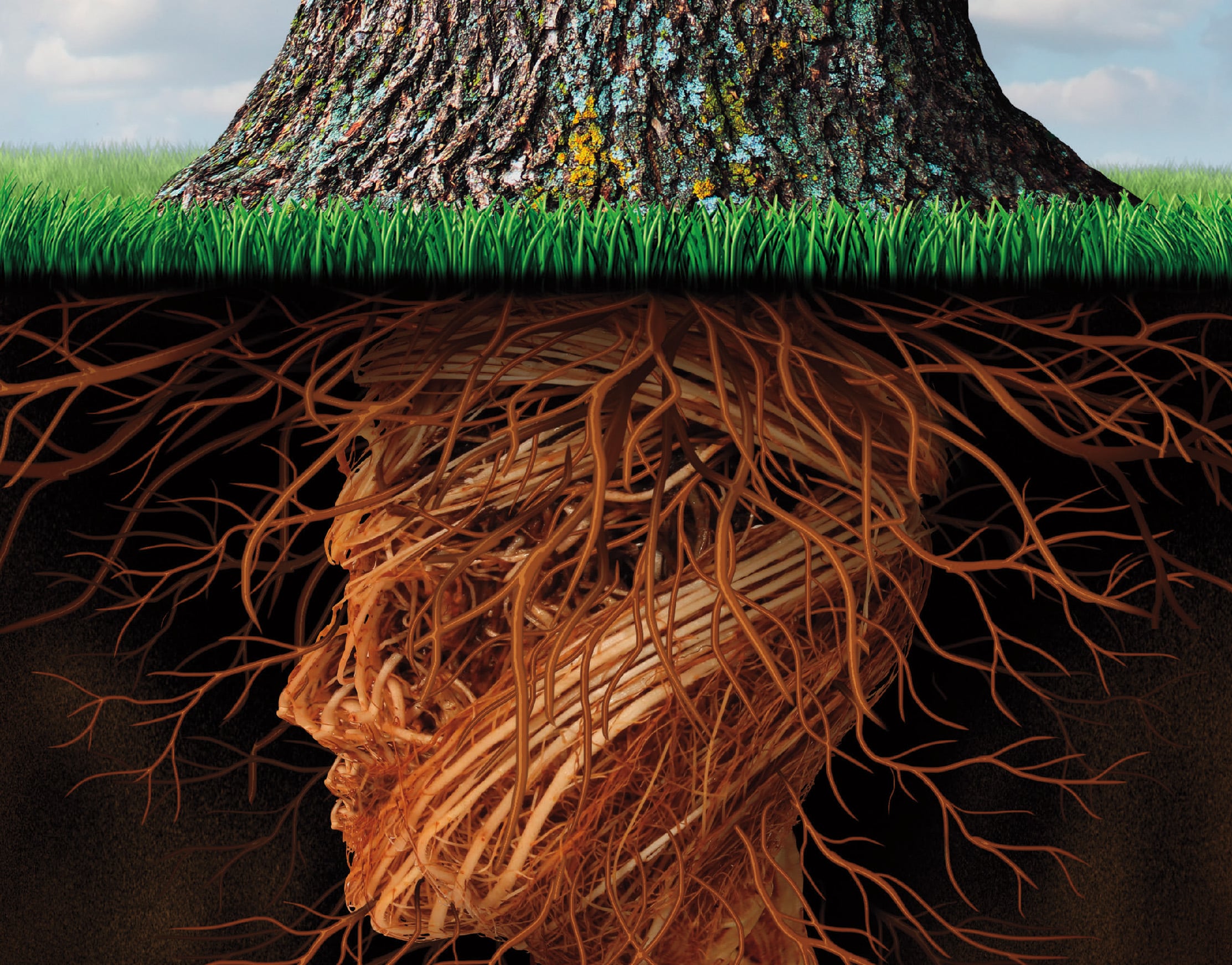 human head as roots of a tree which represents a need for careful succession planning to preserve the roots